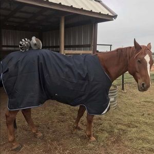 Meet your Posher, Danni